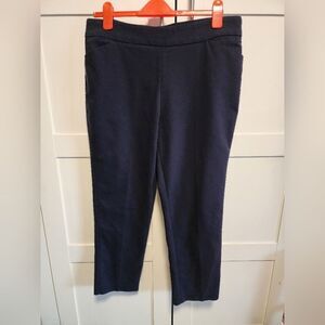 Vision 155 Women’s Navy Dress Pants Size 14 Regular Pull On Stretch Trousers